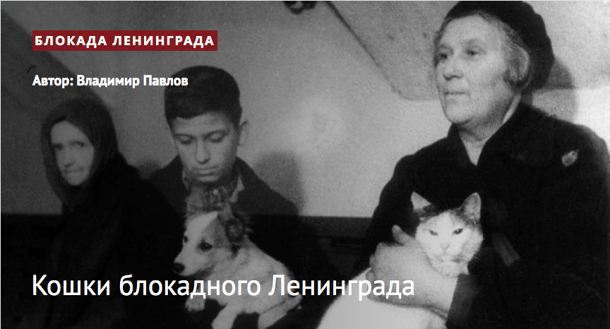 koshki blokadnogo leningrada
