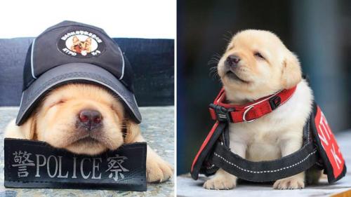 5943adbbc4618862738b470a