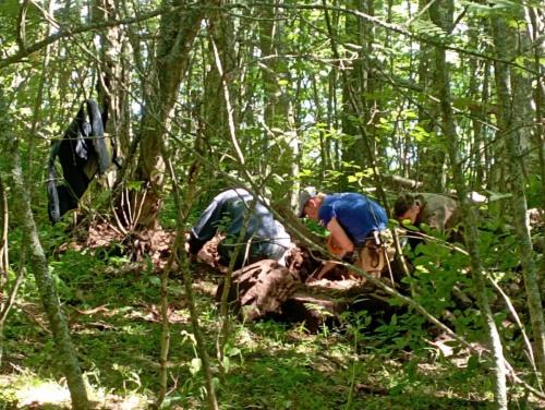 6124d072-5cf5-4588-ac22-b0b2e4840eb8 (1)