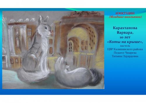 kotografiya page-0010