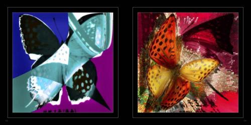 фотоальбом  ЯФЛ  просмотр Страница 062