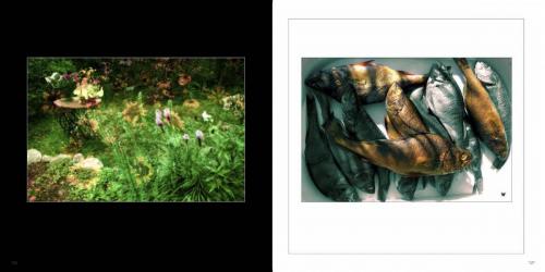 фотоальбом  ЯФЛ  просмотр Страница 064