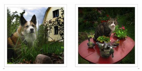 фотоальбом  ЯФЛ  просмотр Страница 065