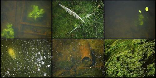 фотоальбом  ЯФЛ  просмотр Страница 113